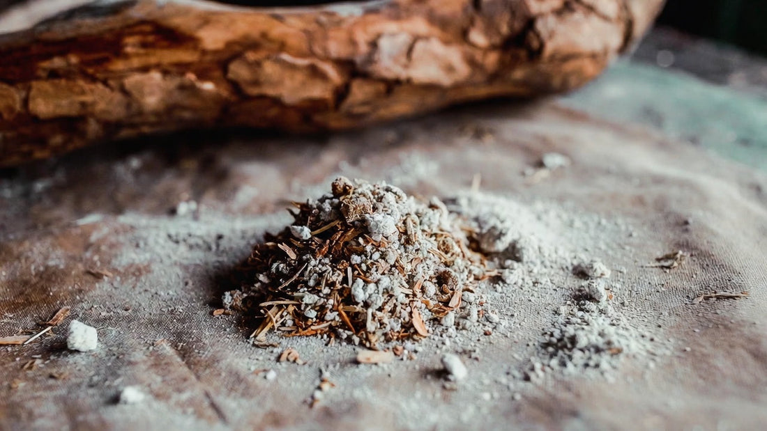 Tobacco as Teacher: Rethinking Nicotiana Rustica in a Modern Healing Context