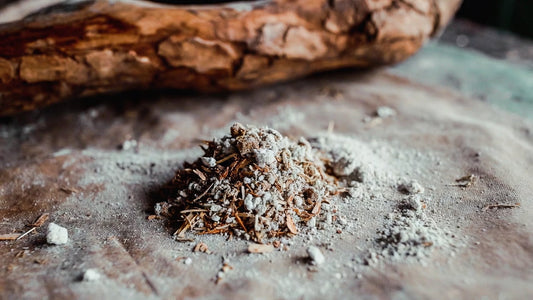 Tobacco as Teacher: Rethinking Nicotiana Rustica in a Modern Healing Context